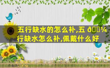 五行缺水的怎么补,五 🌼 行缺水怎么补,佩戴什么好